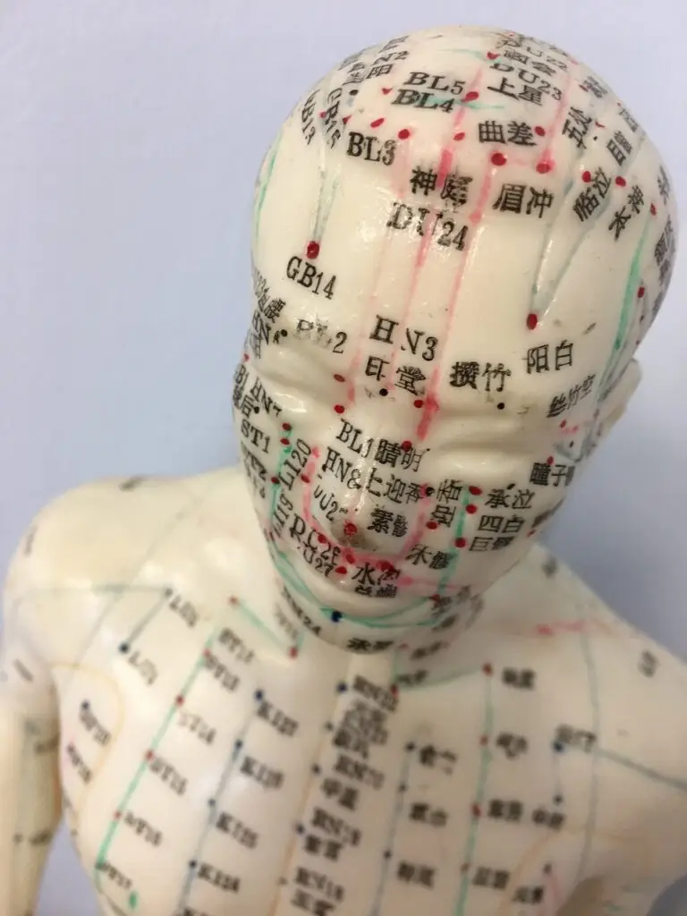 acupuncture, acupuncture model, mannequin